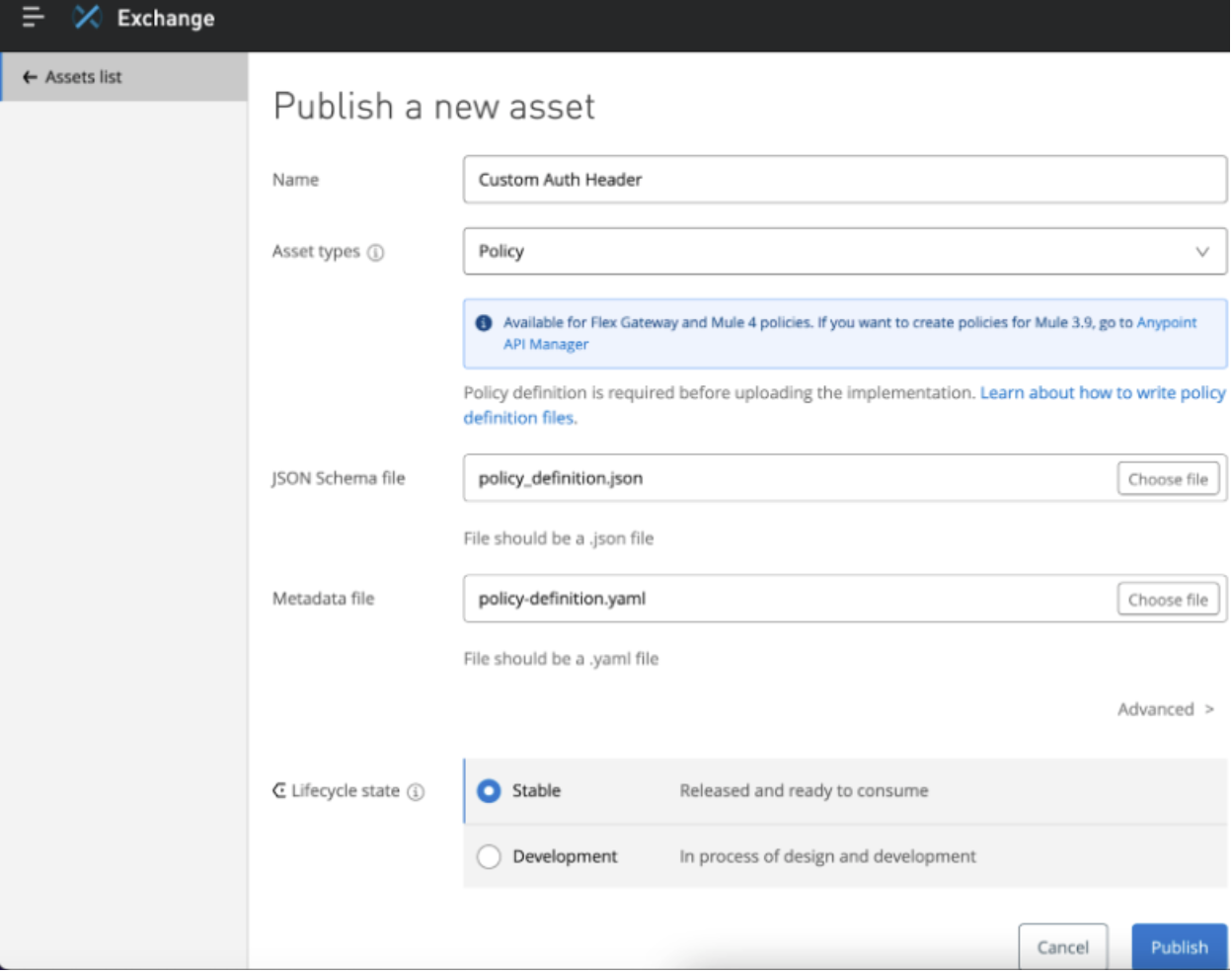 Publish Auth Policy  asset